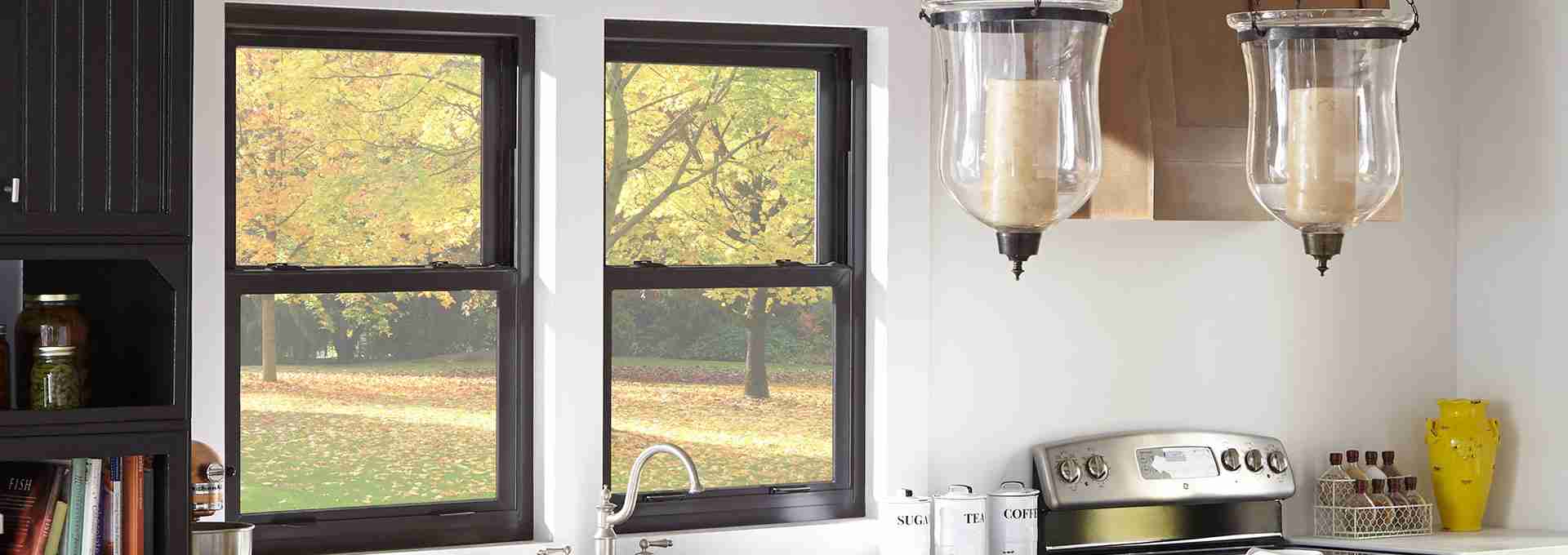 EnergyVue vinyl double-hung window